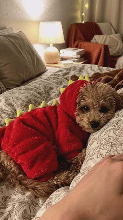A Warm Layer for Winter