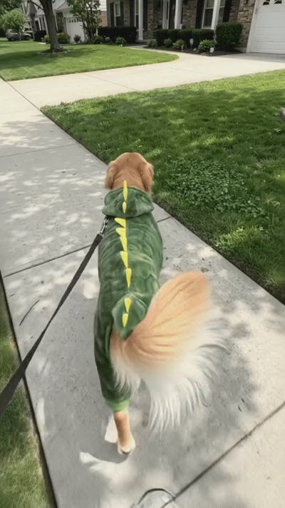 Stand Out on Walks