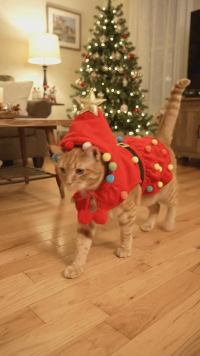 Ready For The Holiday Season