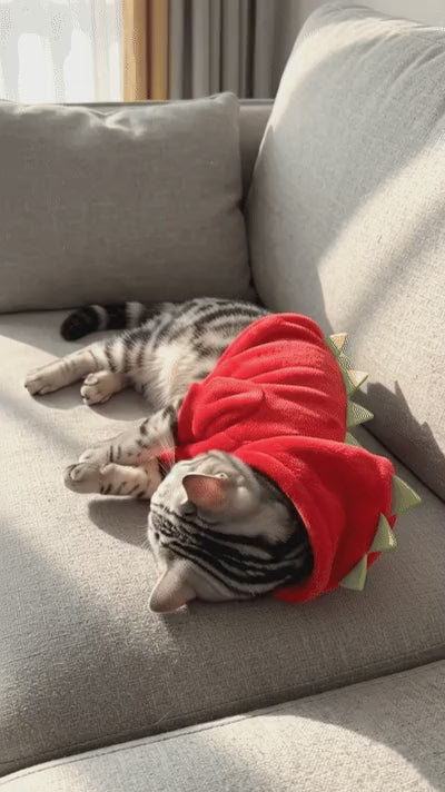 A Fun Gift for Pet Lovers